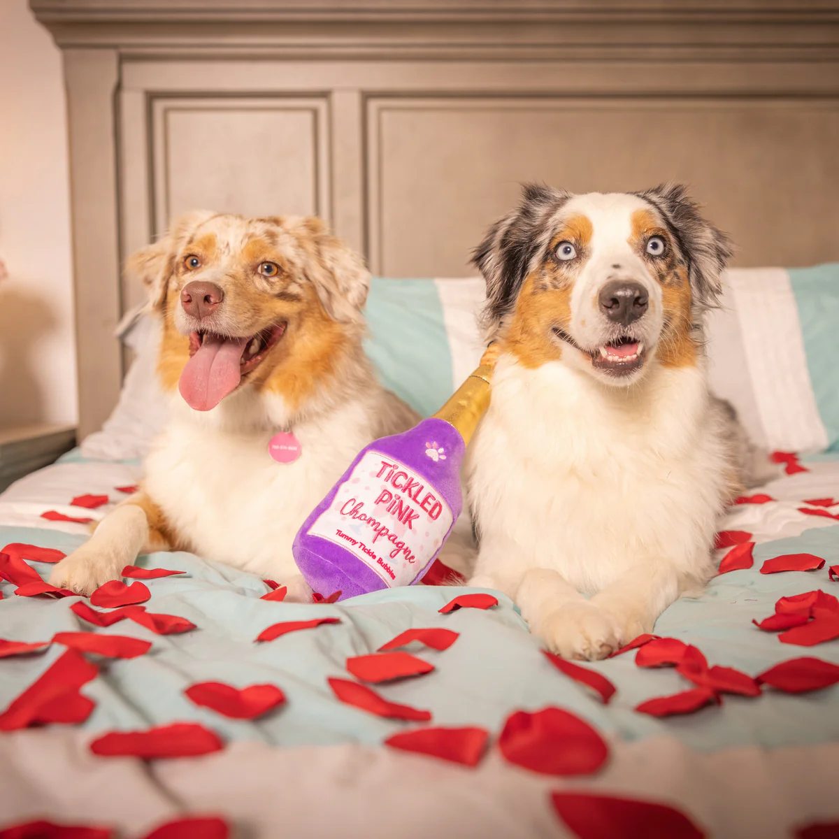 Huxley & Kent Pink Chompagne Dog Toy