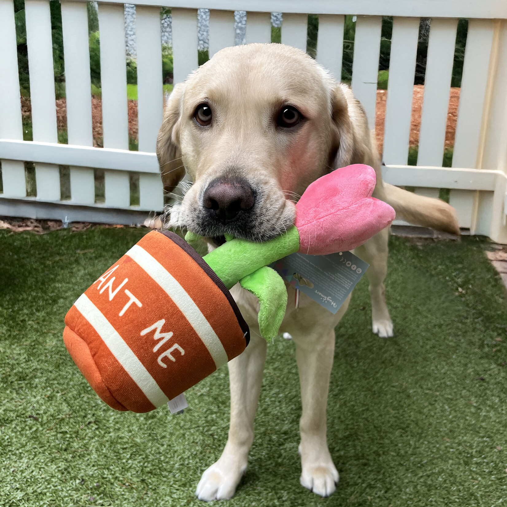 HugSmart Pet Tulip Plant Dog Toy