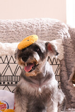 HugSmart Pet Onion Rings Dog Toy