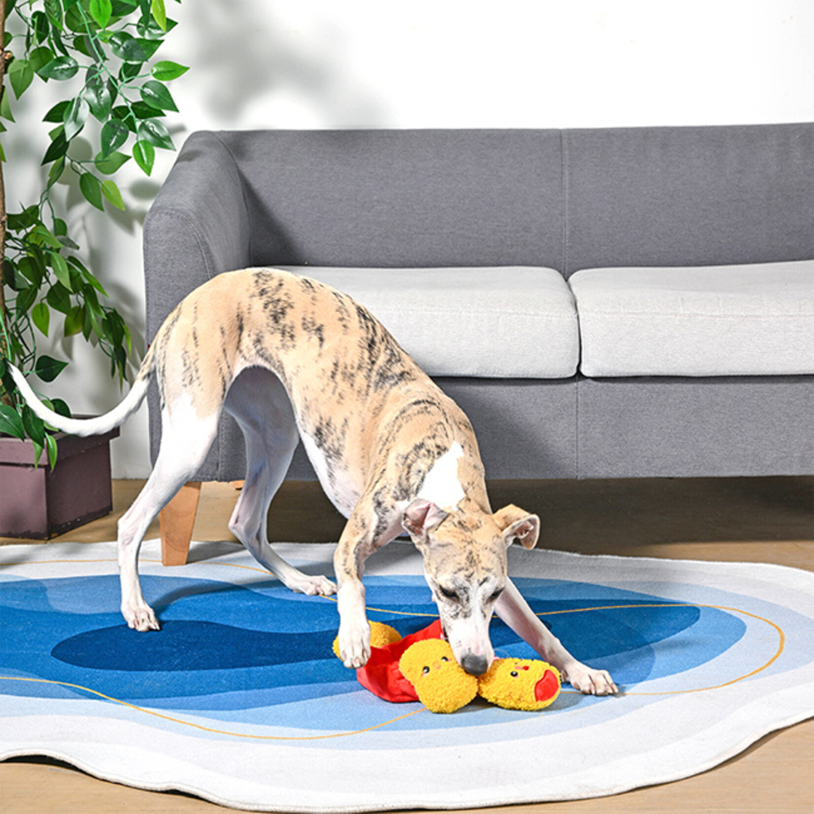 HugSmart Pet Chicken Nuggets Dog Toy