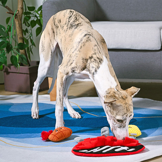 HugSmart Pet BBQ Grill Dog Toy