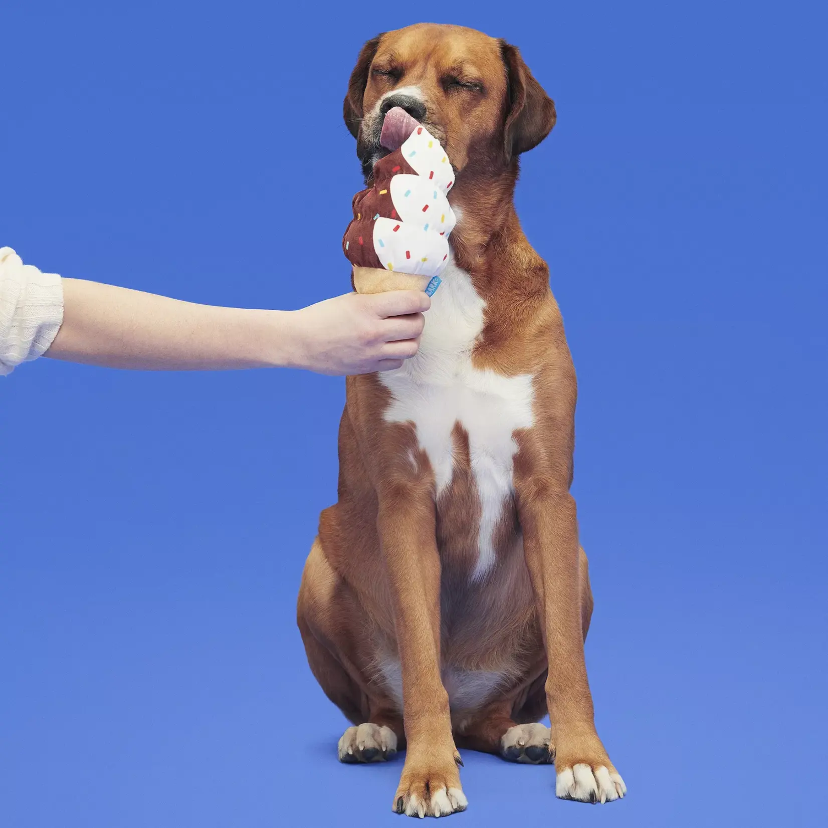 BARK Soft Serve Dog Toy