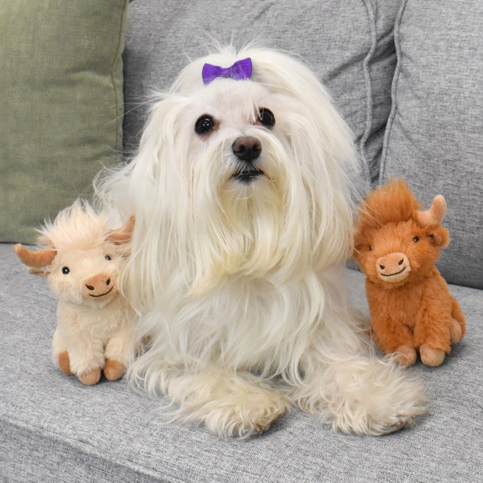 MultiPet Highland Cow Dog Toy