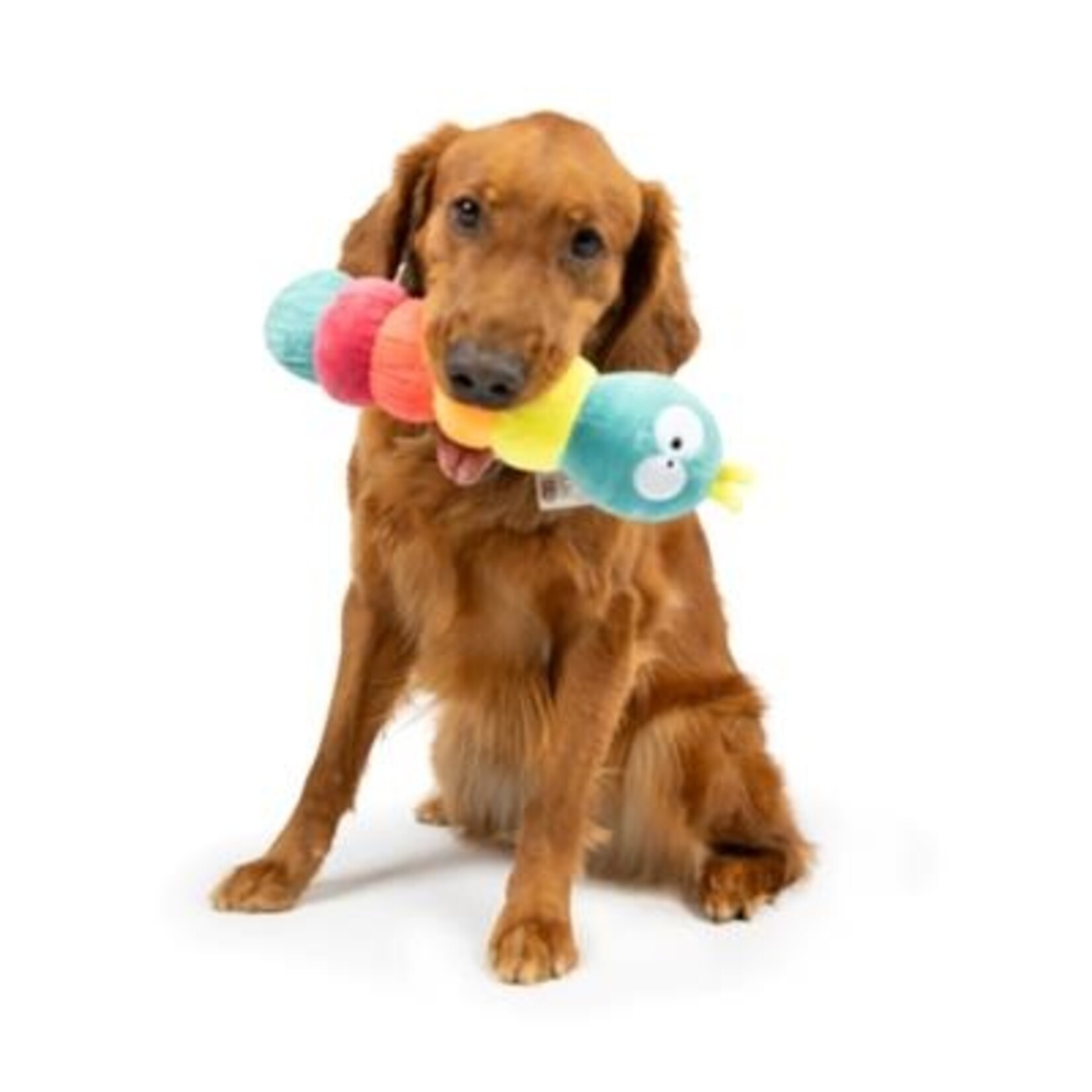 Huxley & Kent Caterpillar Dog Toy