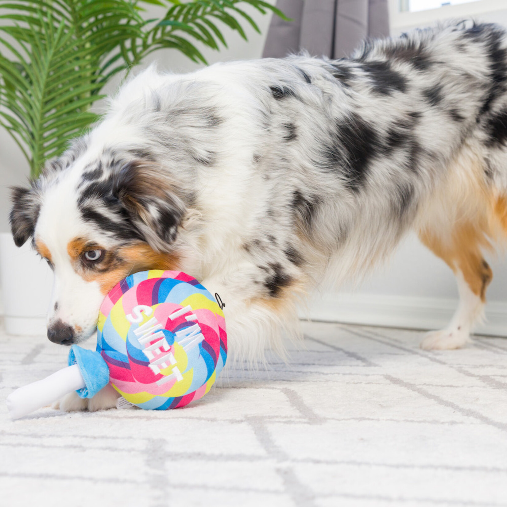 Huxley & Kent Lollipop Dog Toy