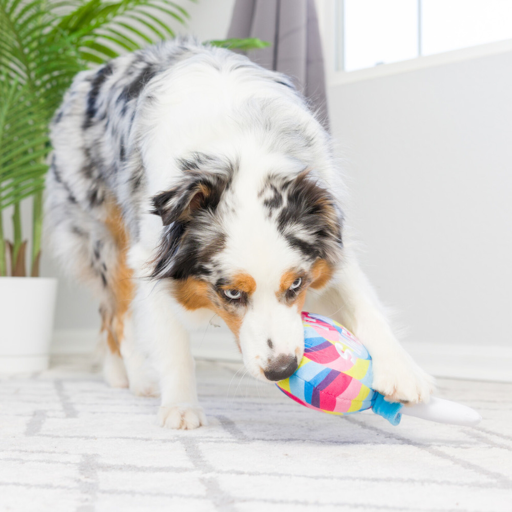 Huxley & Kent Lollipop Dog Toy
