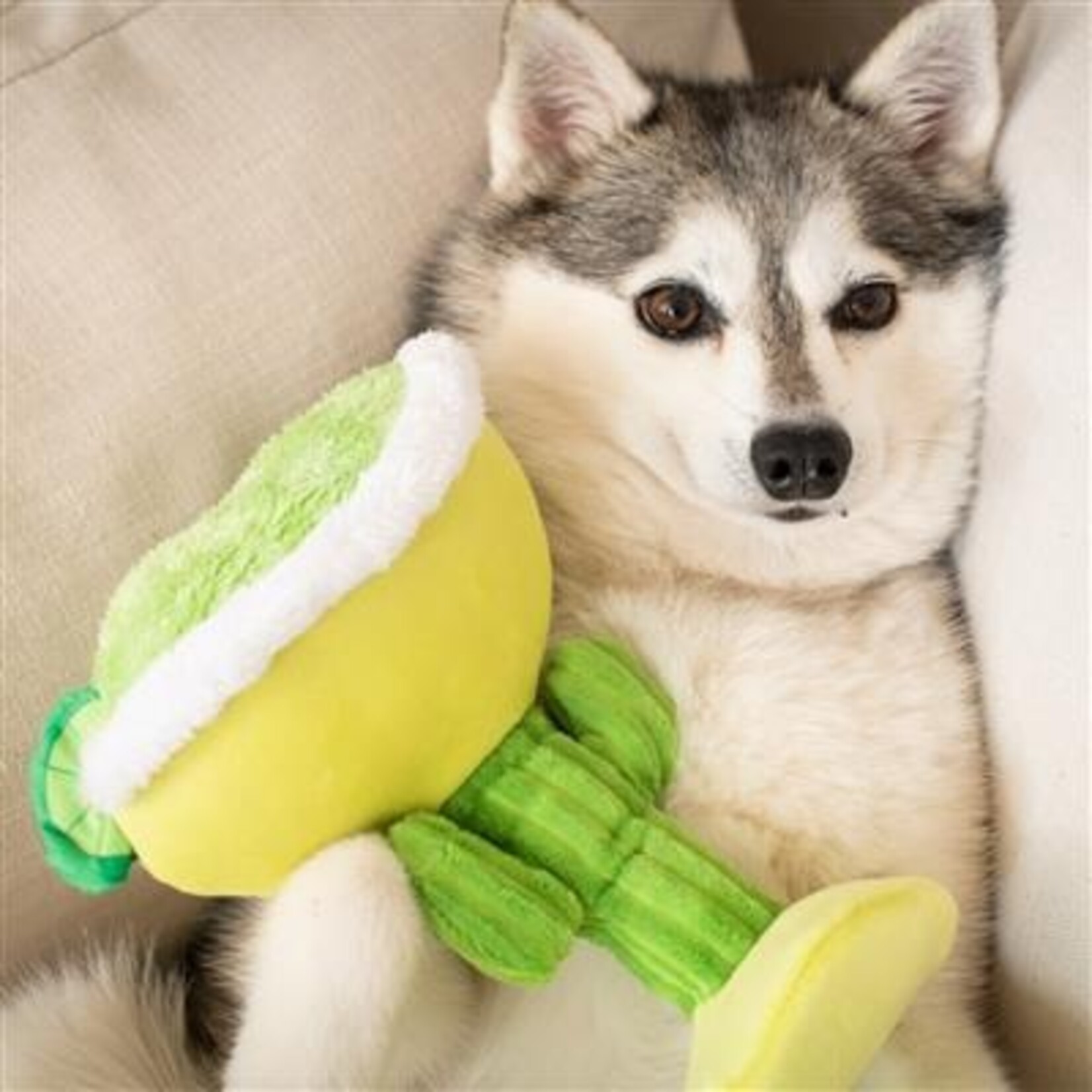 Huxley & Kent Margarita Dog Toy
