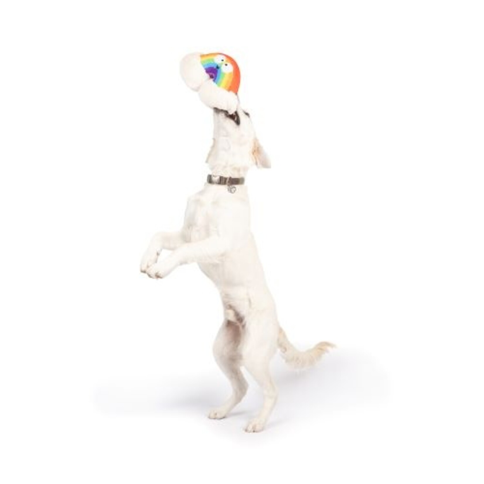 Huxley & Kent Rainbow Dog Toy