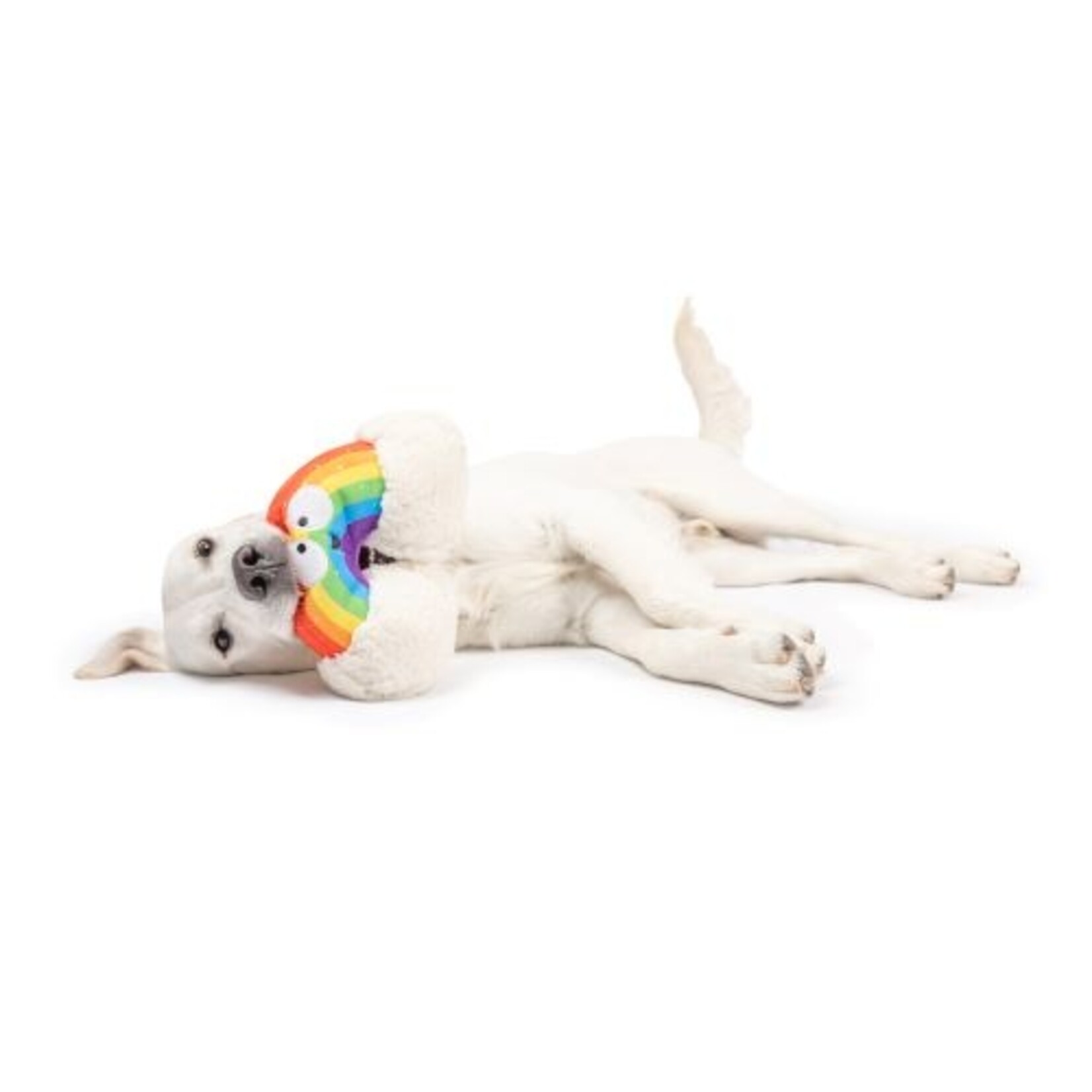 Huxley & Kent Rainbow Dog Toy
