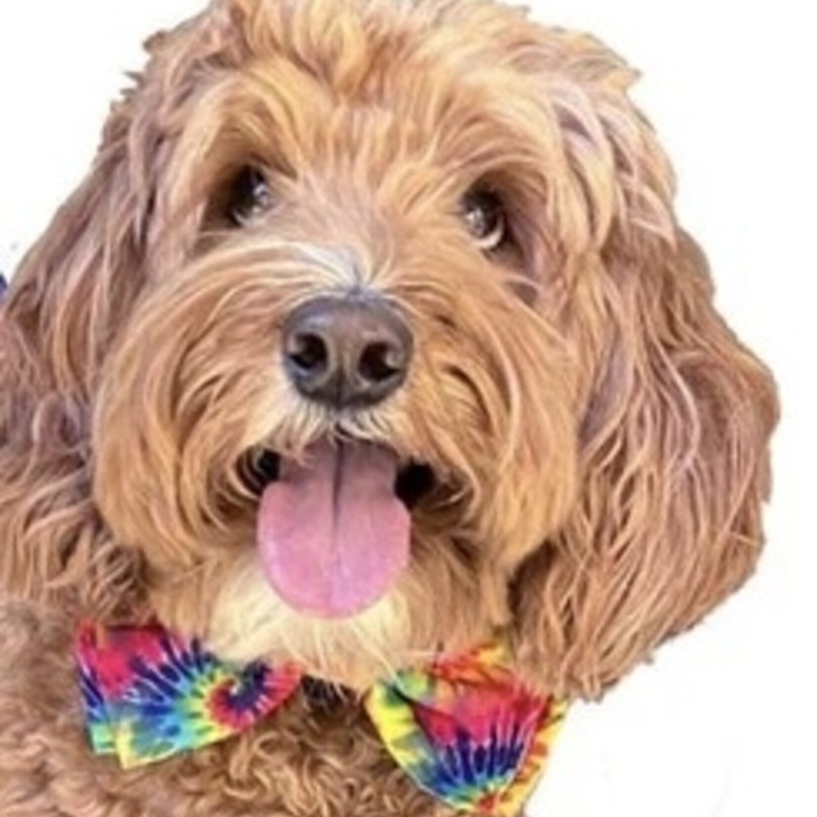 Huxley & Kent Tie Dye Bow Tie