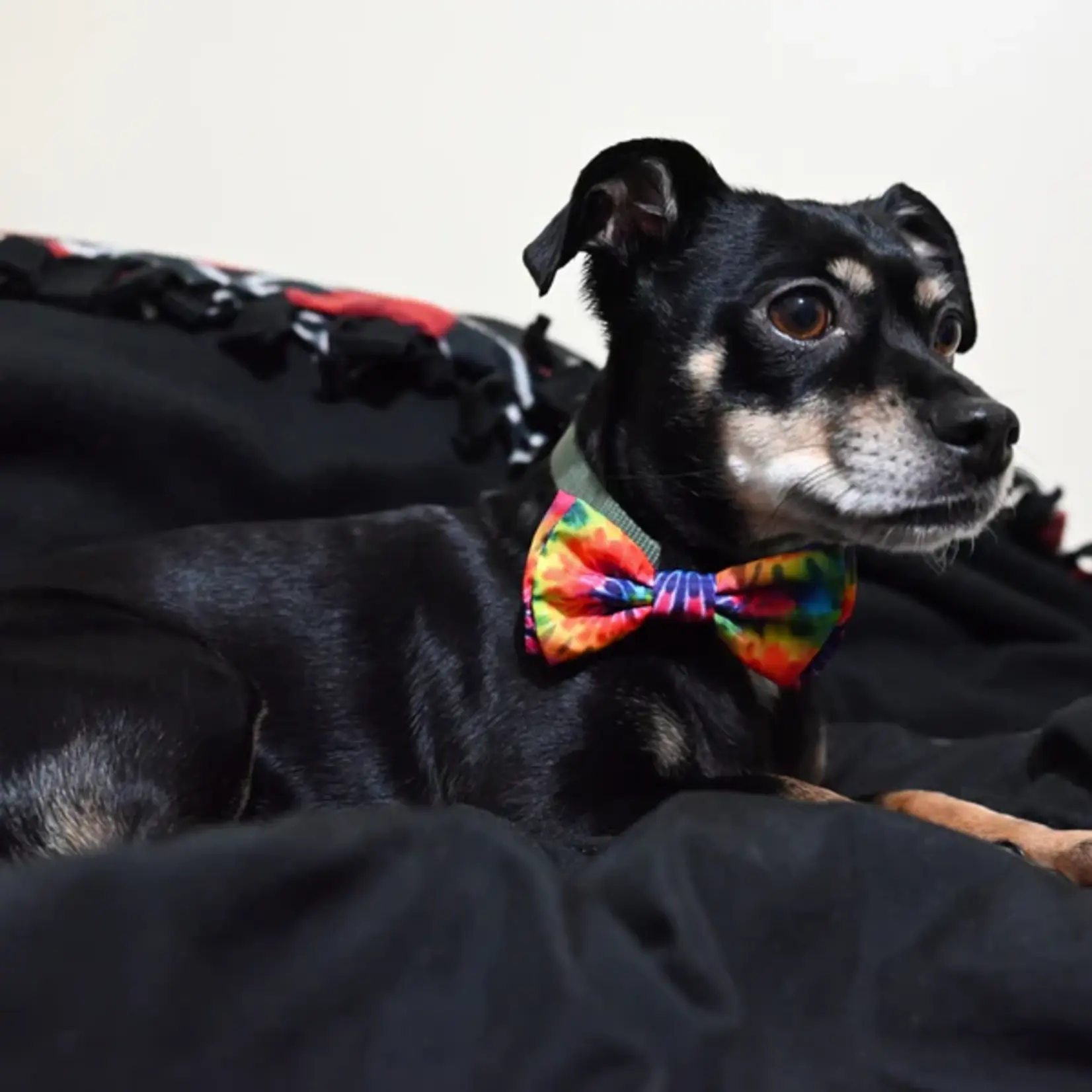 Huxley & Kent Tie Dye Bow Tie