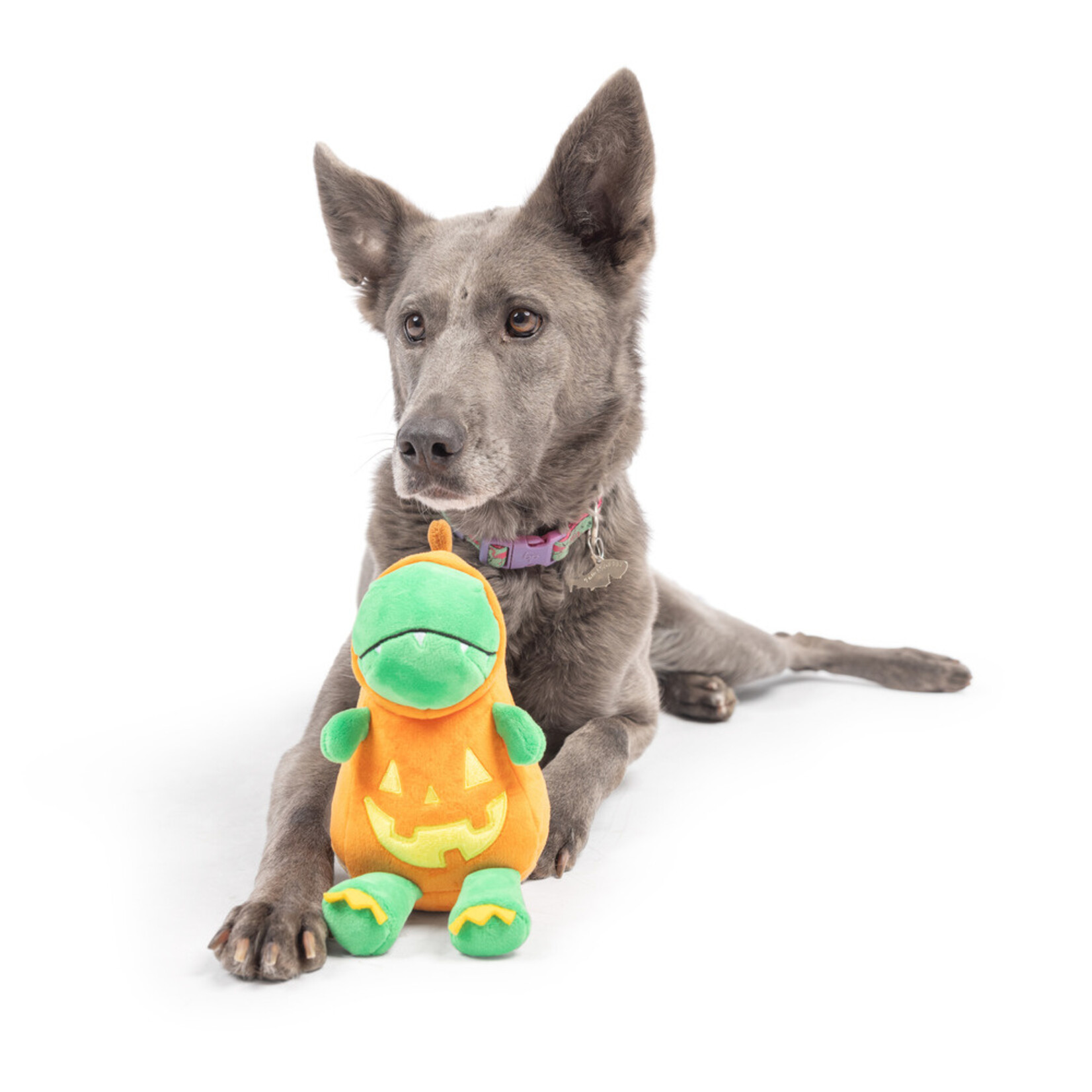 Huxley & Kent Halloween Dino Dog Toy