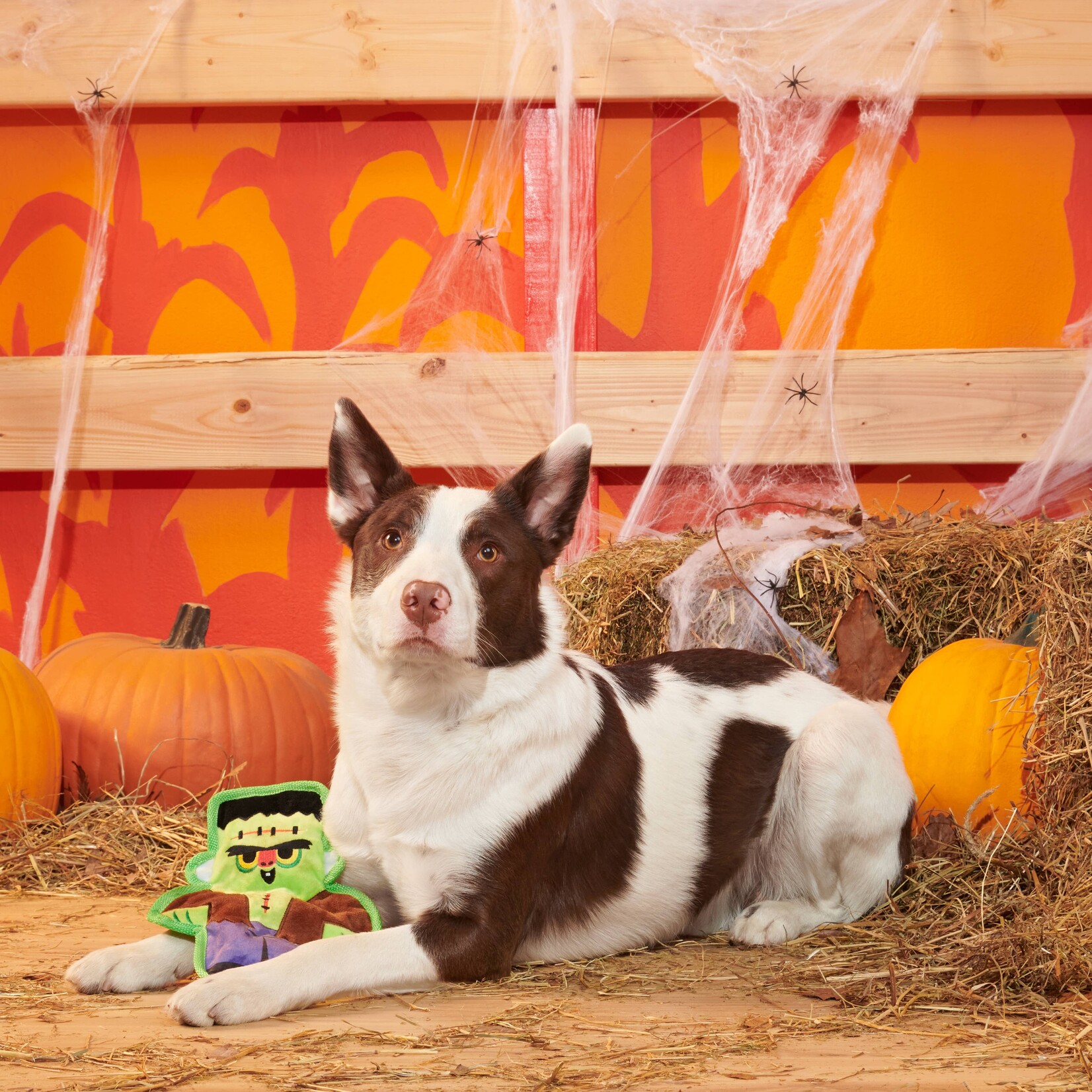 BARK Frankenstein Dog Toy
