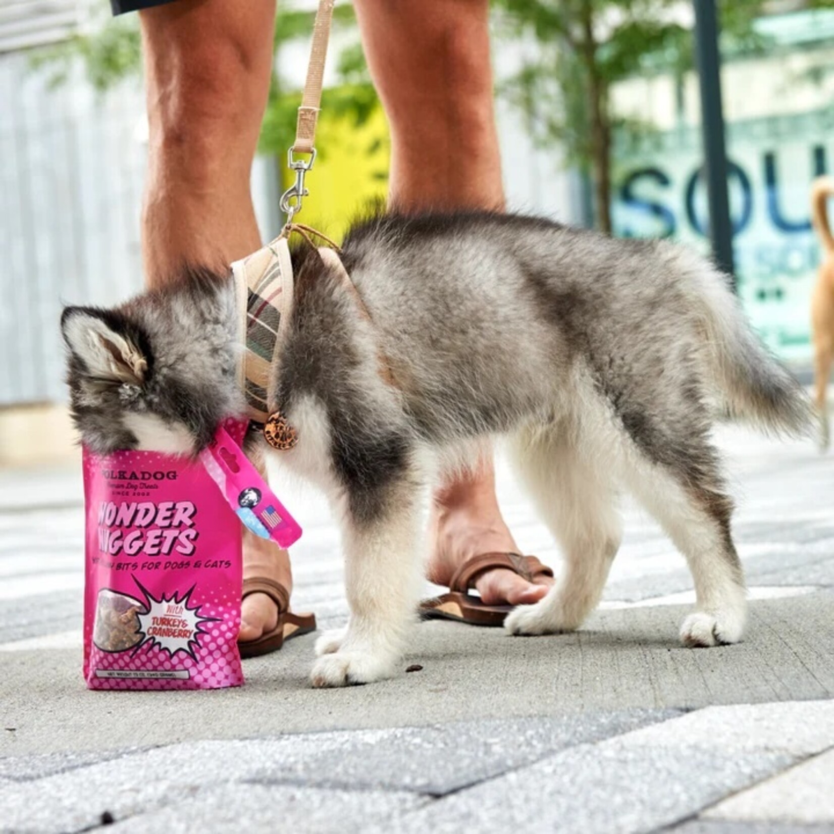 Polkadog Treats-Wonder Nuggets Turkey & Cranberry