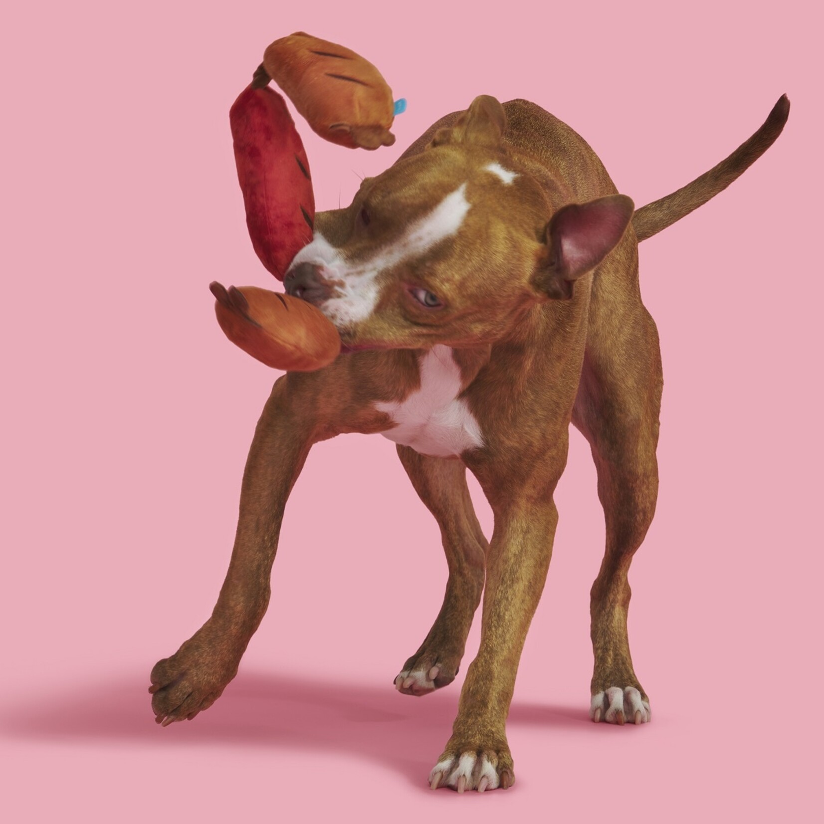 BARK Sausage Links Dog Toy