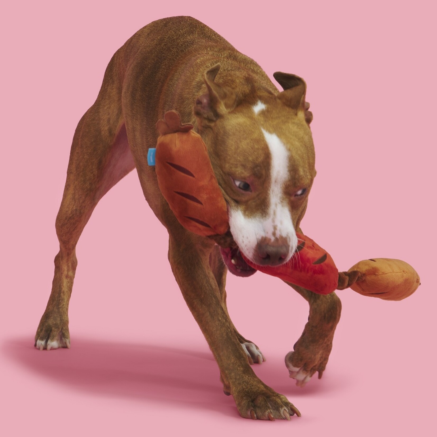 BARK Sausage Links Dog Toy
