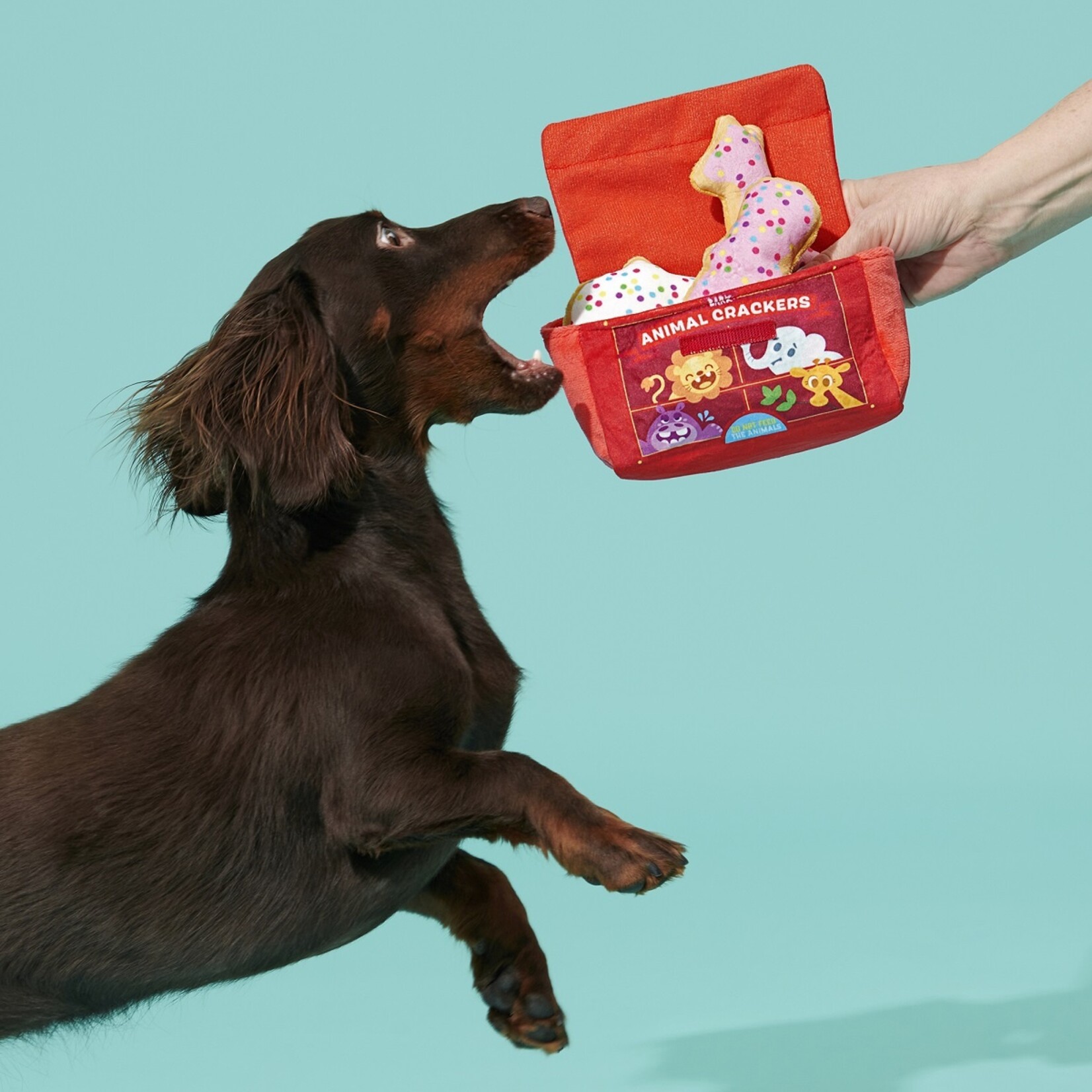 BARK Animal Crackers Dog Toy