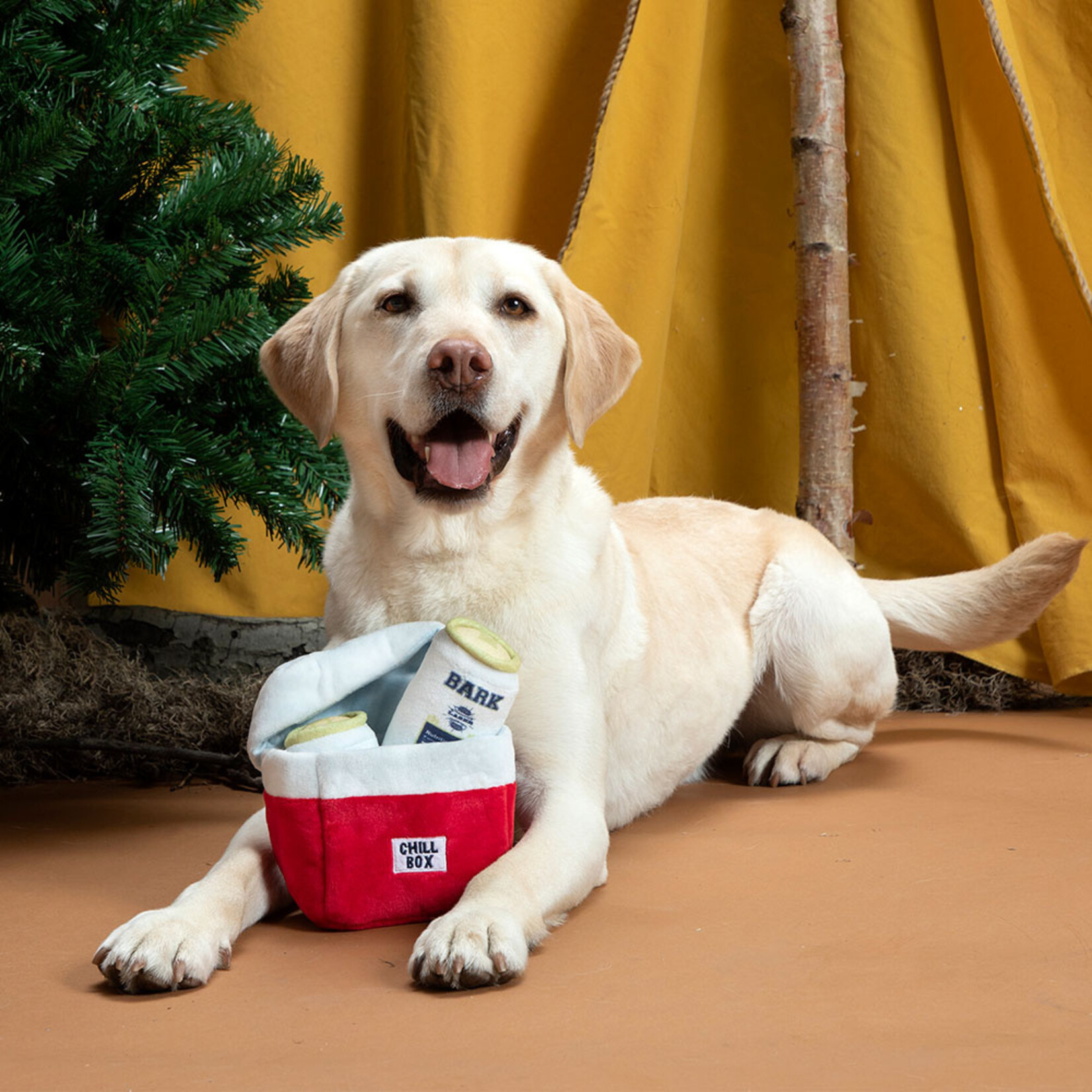 BARK Beer Cooler Dog Toy
