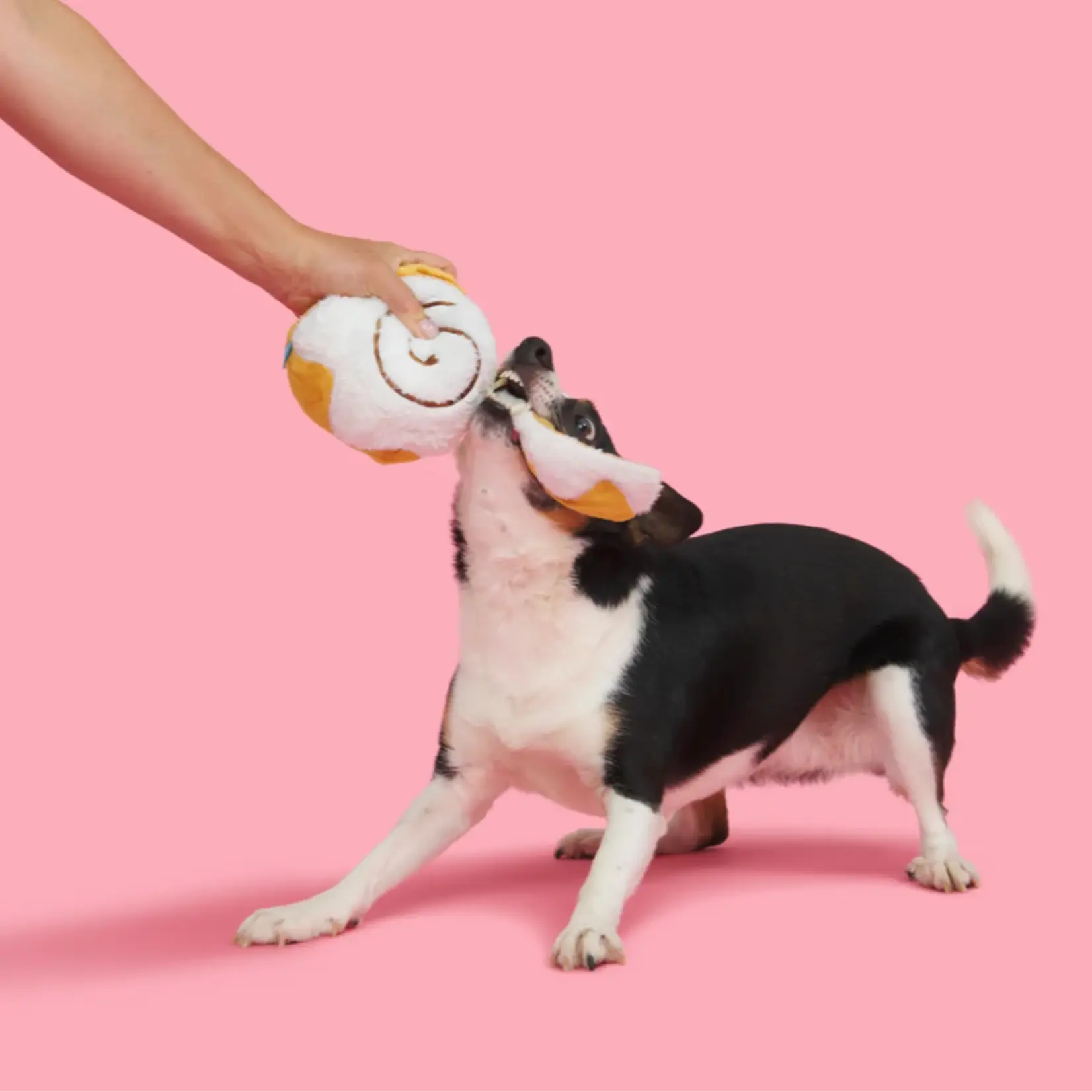 BARK Cinnamon Roll Dog Toy
