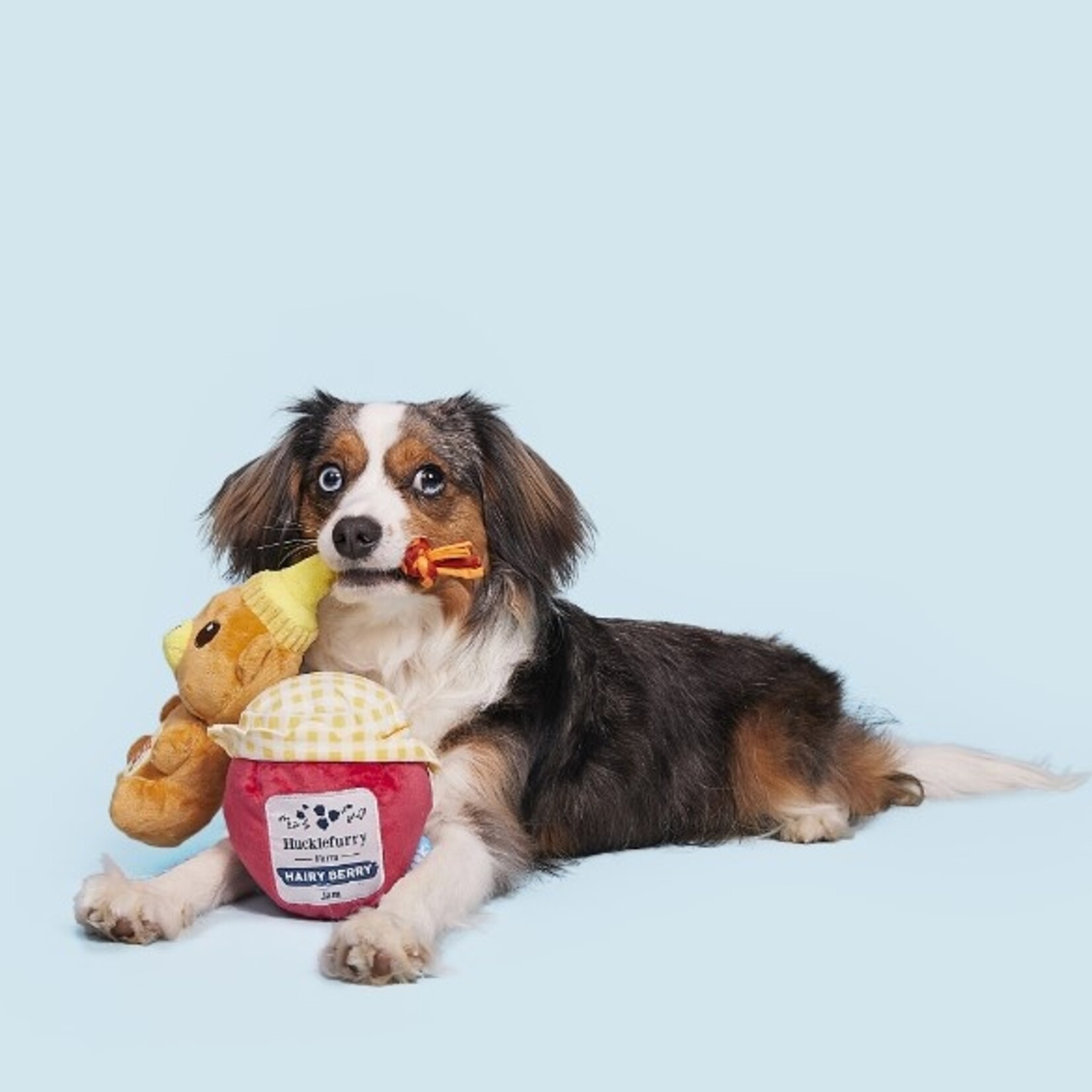 BARK Honey & Jam Dog Toy Pack