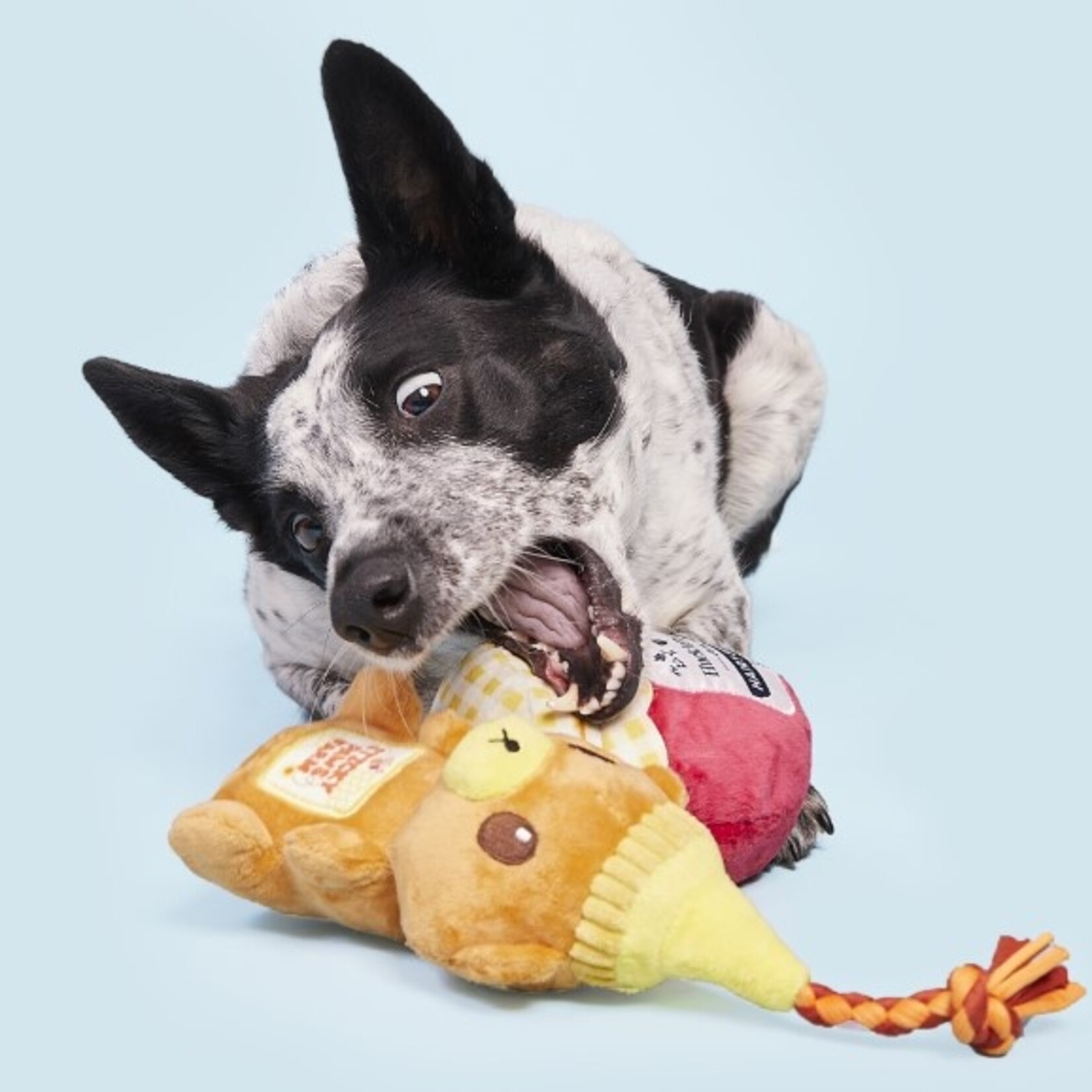 BARK Honey & Jam Dog Toy Pack