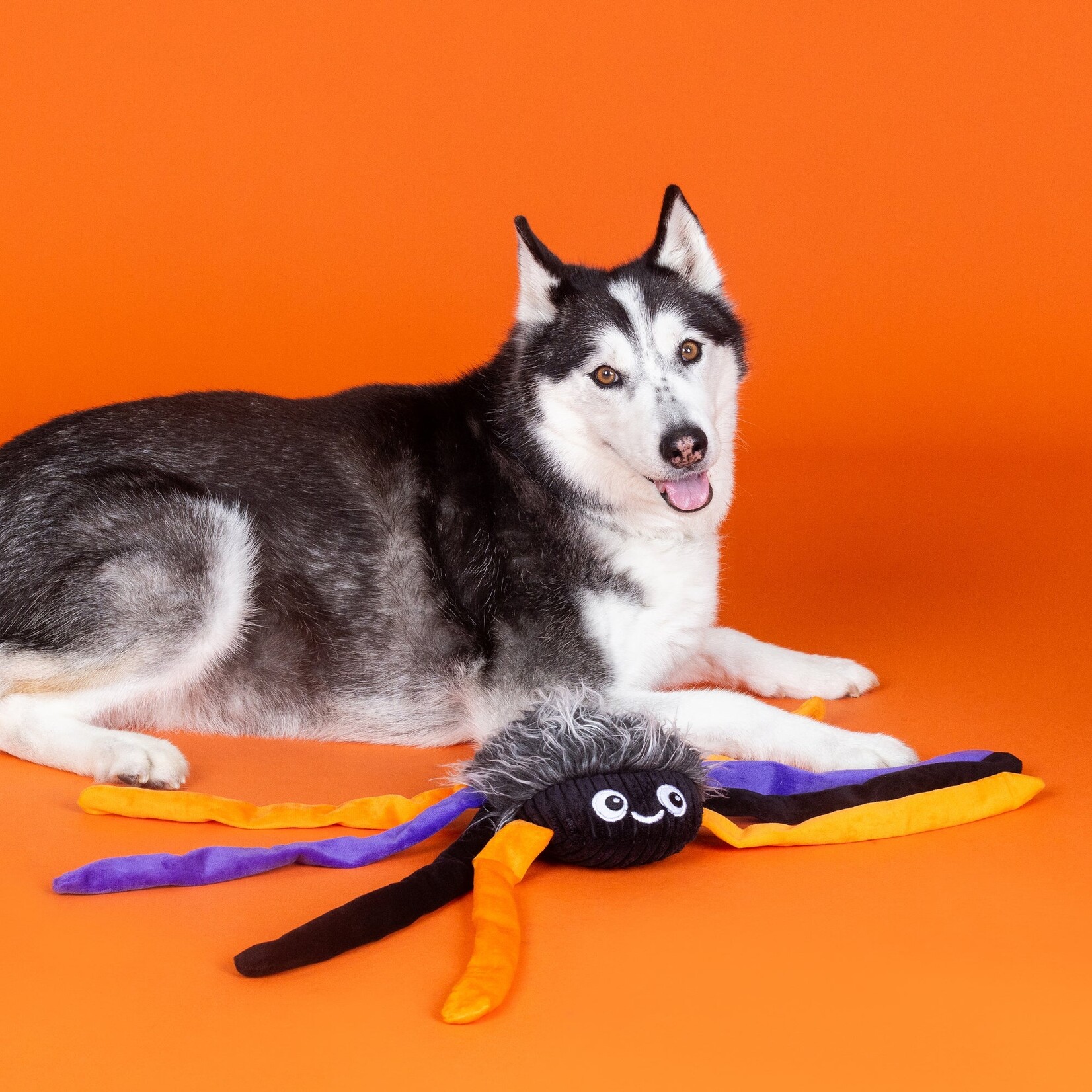 Pet Shop by Fringe Studio Large Spider Dog Toy