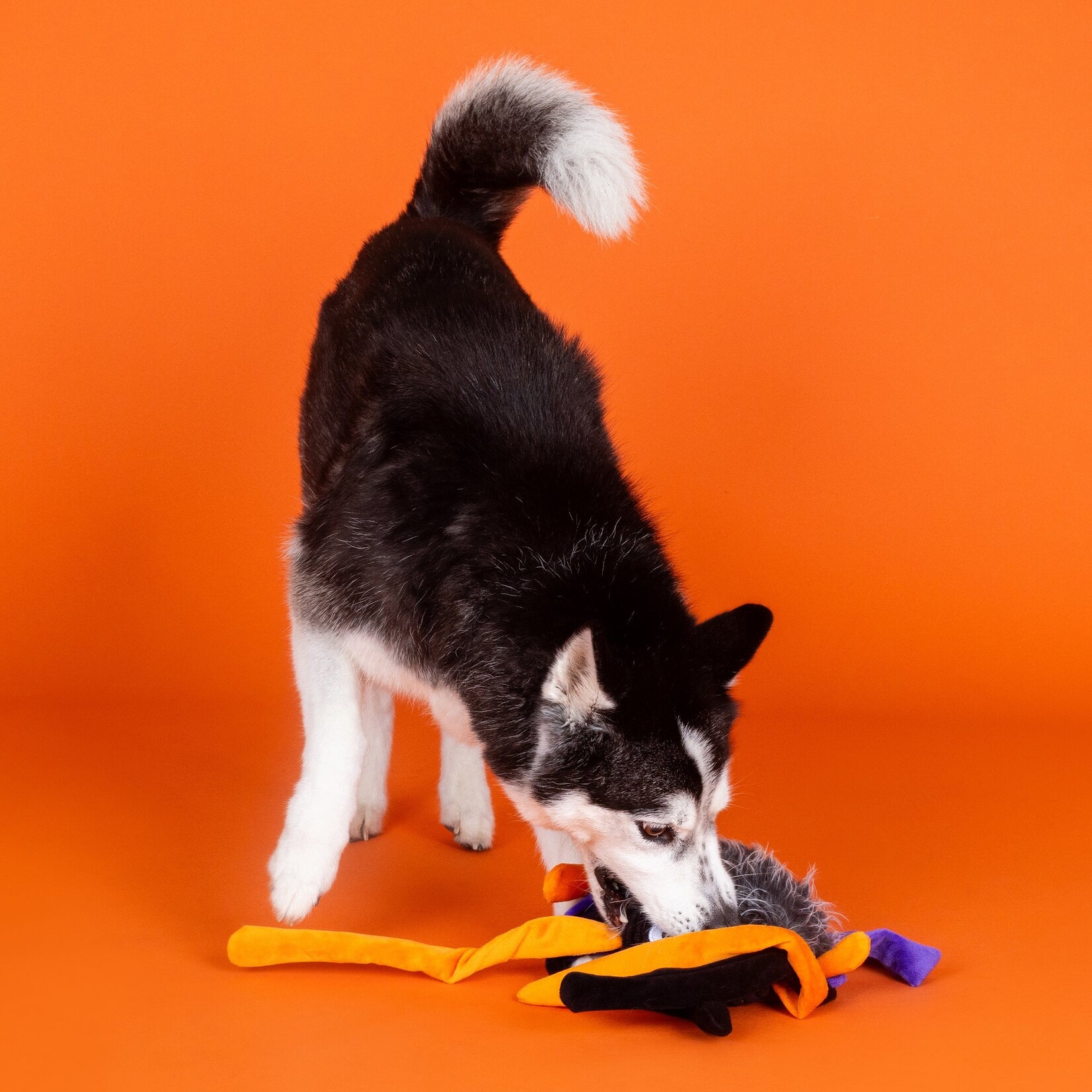Pet Shop by Fringe Studio Large Spider Dog Toy