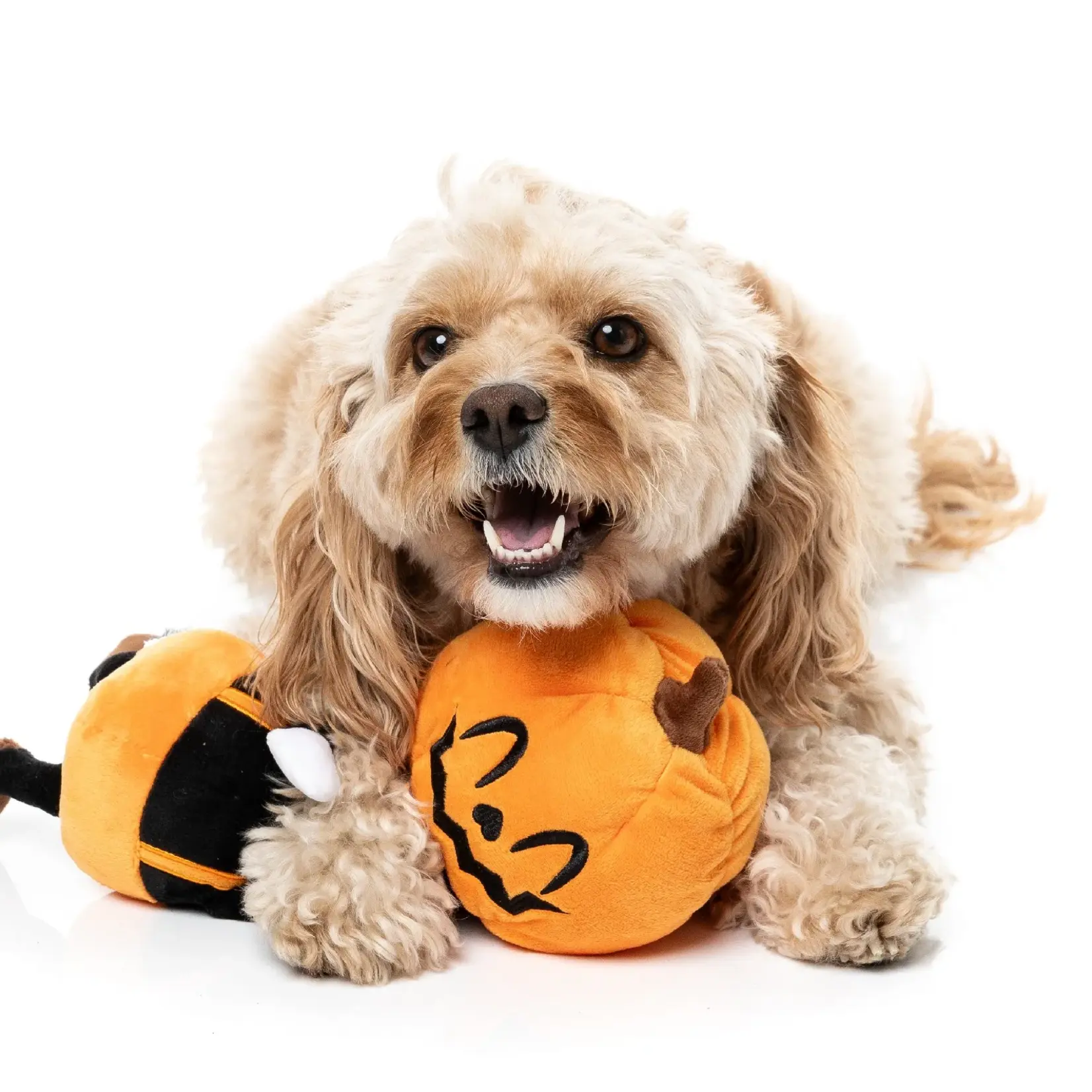 FuzzYard Tall Pumpkin Dog Toy