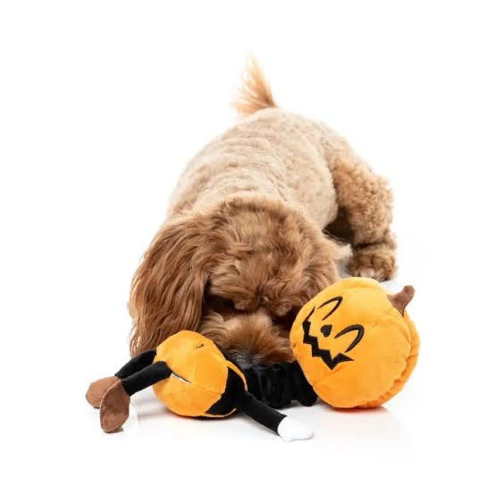FuzzYard Tall Pumpkin Dog Toy