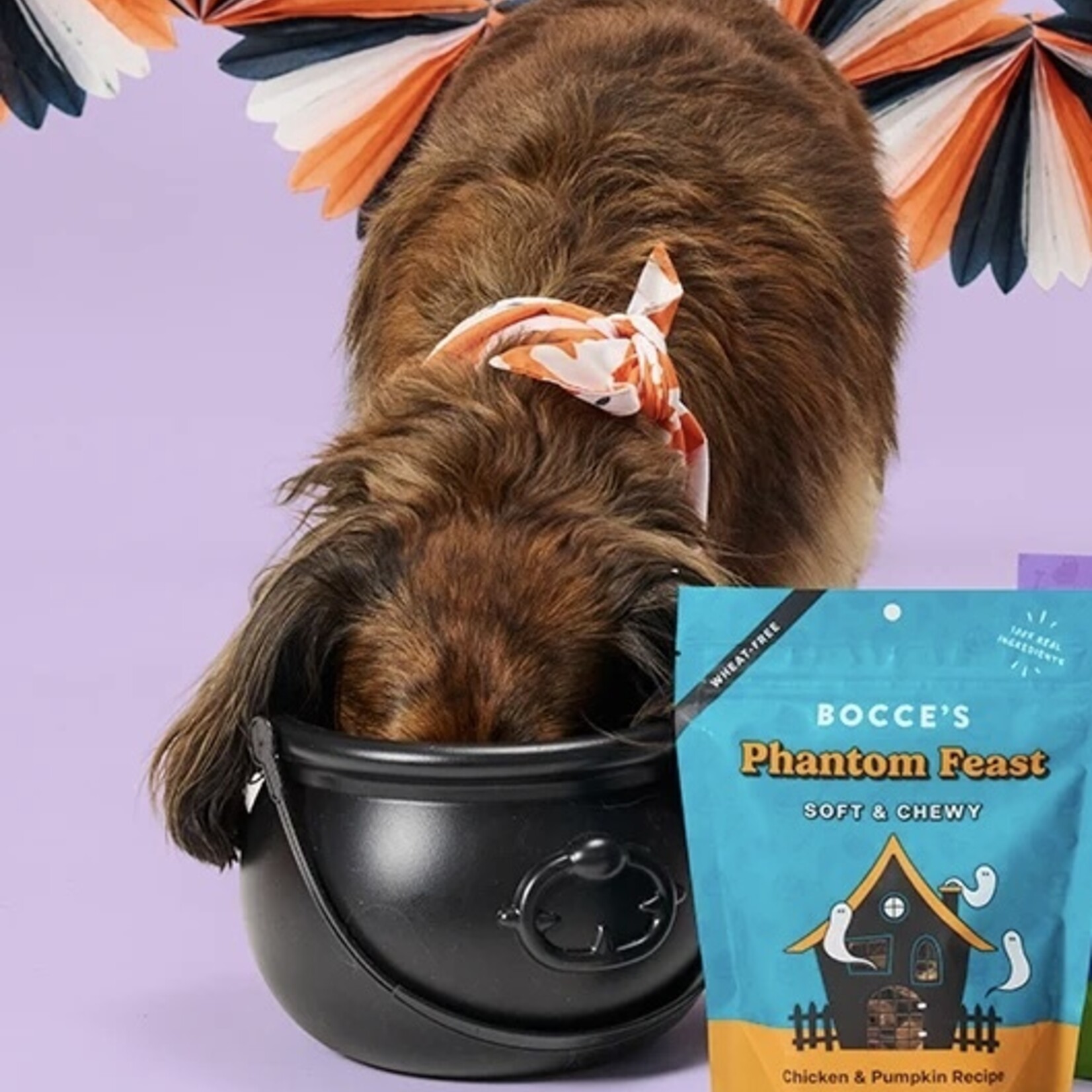 Bocce's Bakery Halloween Dog Treats