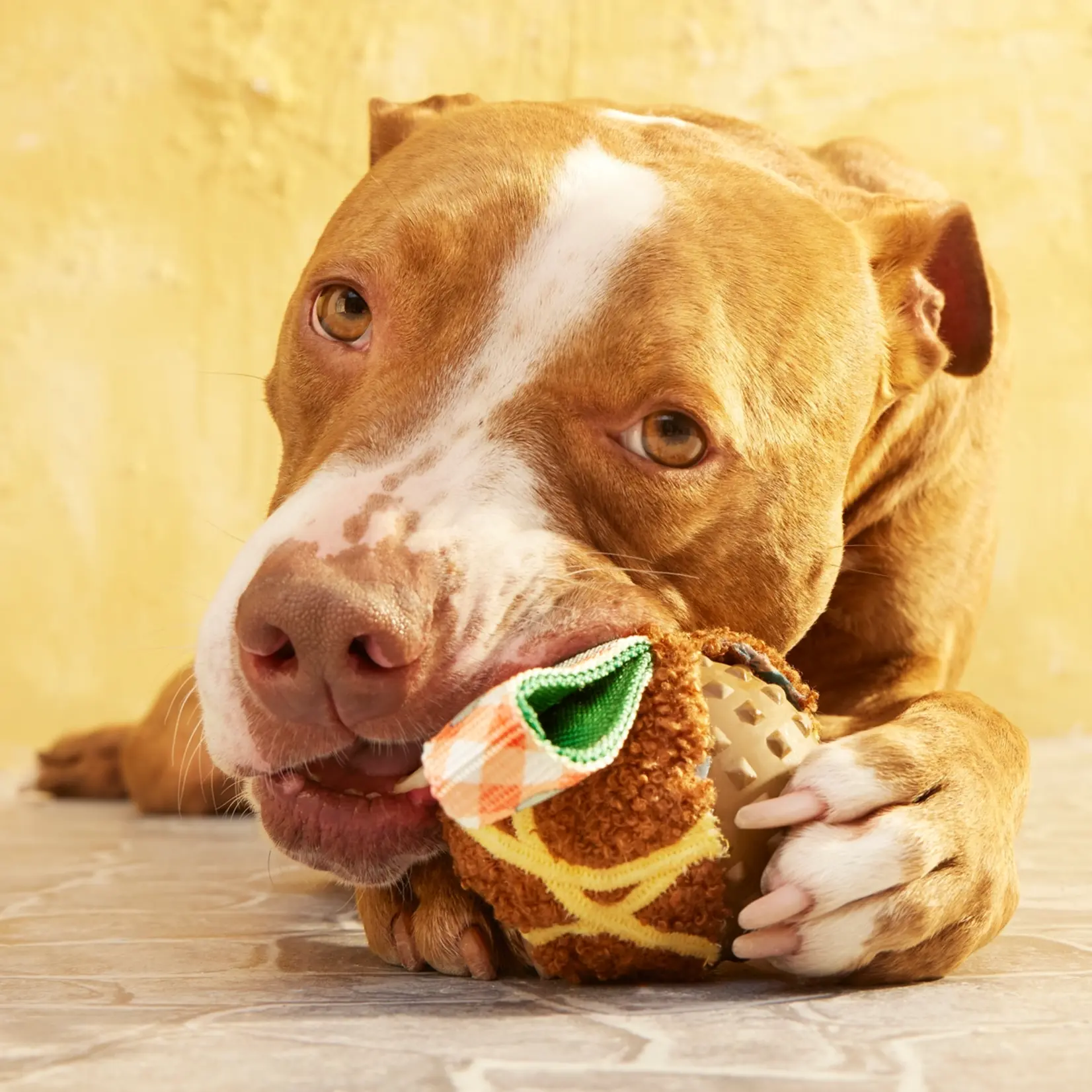 BARK Meatball Dog Toy