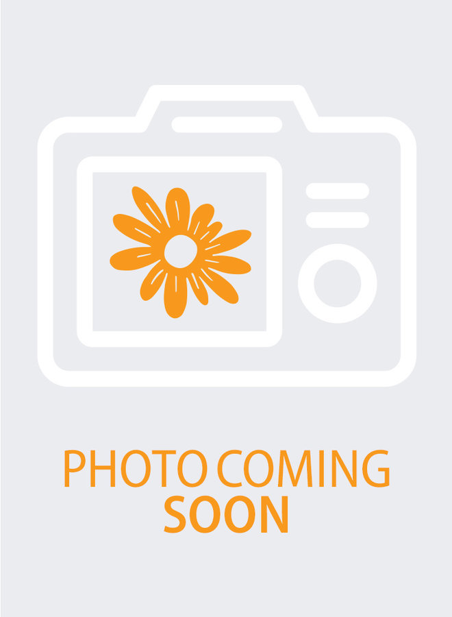 Eschscholzia californica 'Carmine King' - Carmine King California Poppy (Seed)