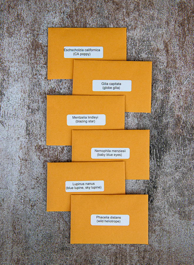 Souvenir Collection (Seeds)