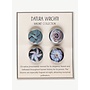 Datura wrightii Magnets - Set of 4