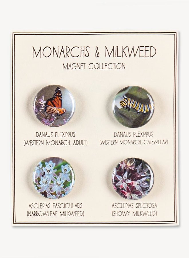 Monarchs & Milkweed Magnets