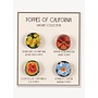 Poppies of CA Magnets