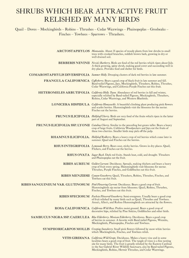 Bird Habitat (Tapered Fit)