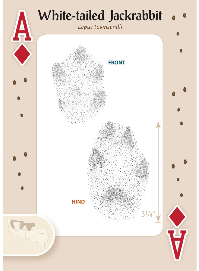 Animal Tracks of the Southwest - Playing Cards