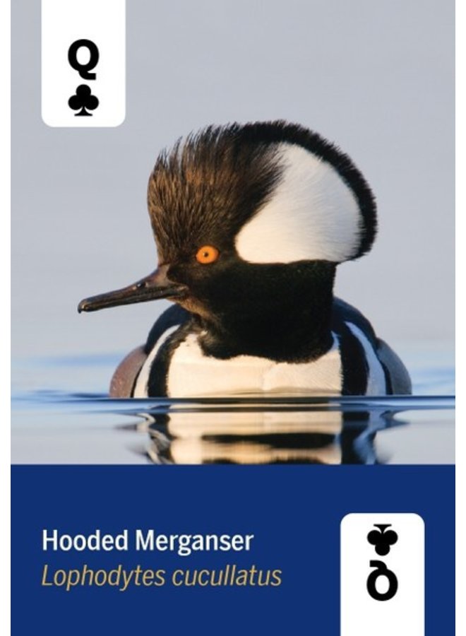 Birds of North America - Playing Cards