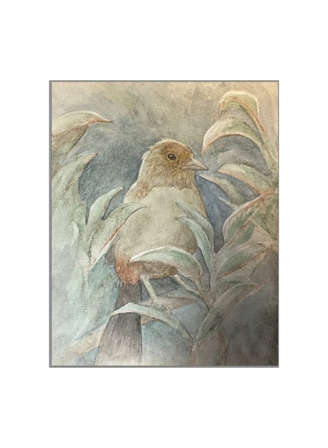 Tata, the Tataviam Towhee - Hardcover