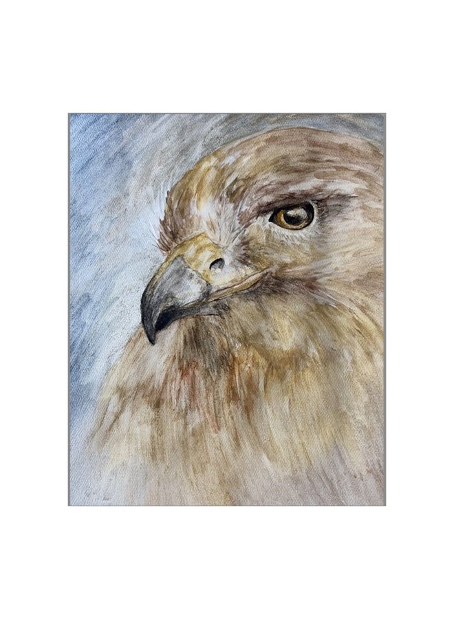 Tata, the Tataviam Towhee - Softcover