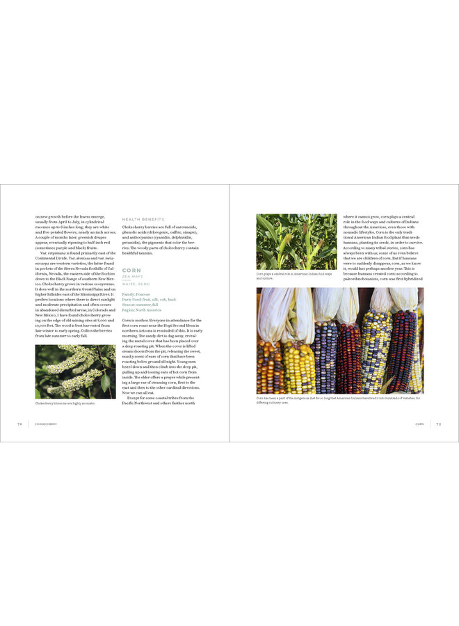 Iwigara: The Kinship of Plants and People