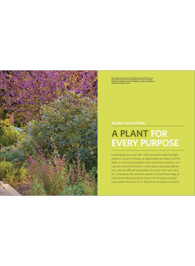 The Drought-Defying California Garden