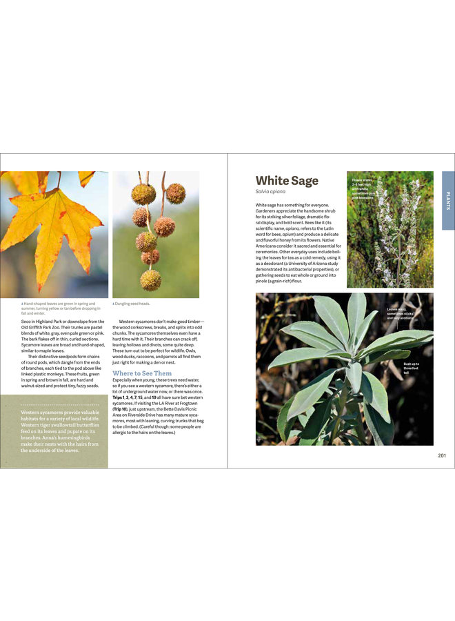 Wild LA: Explore the Amazing Nature In and Around Los Angeles