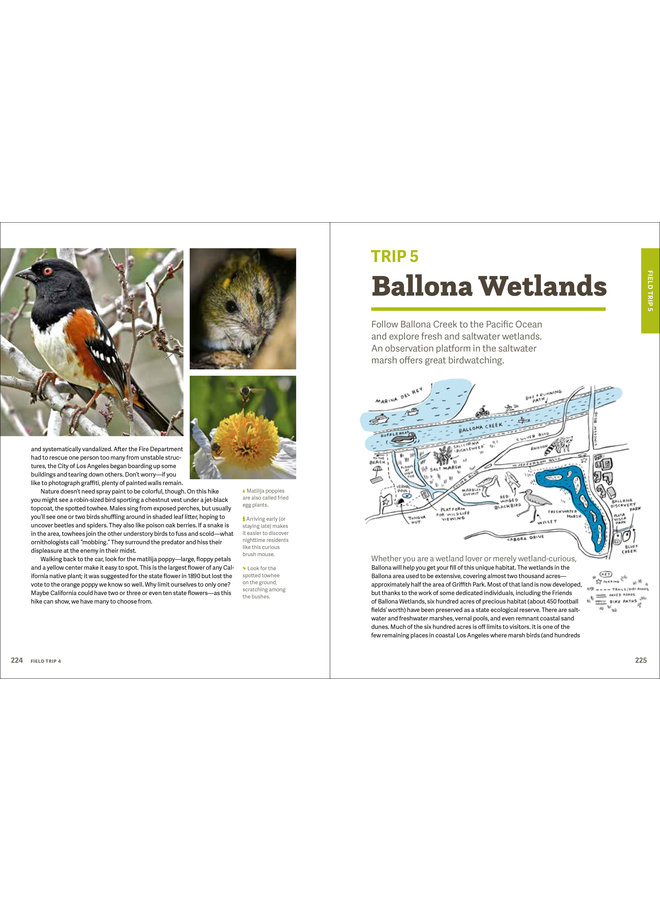 Wild LA: Explore the Amazing Nature In and Around Los Angeles