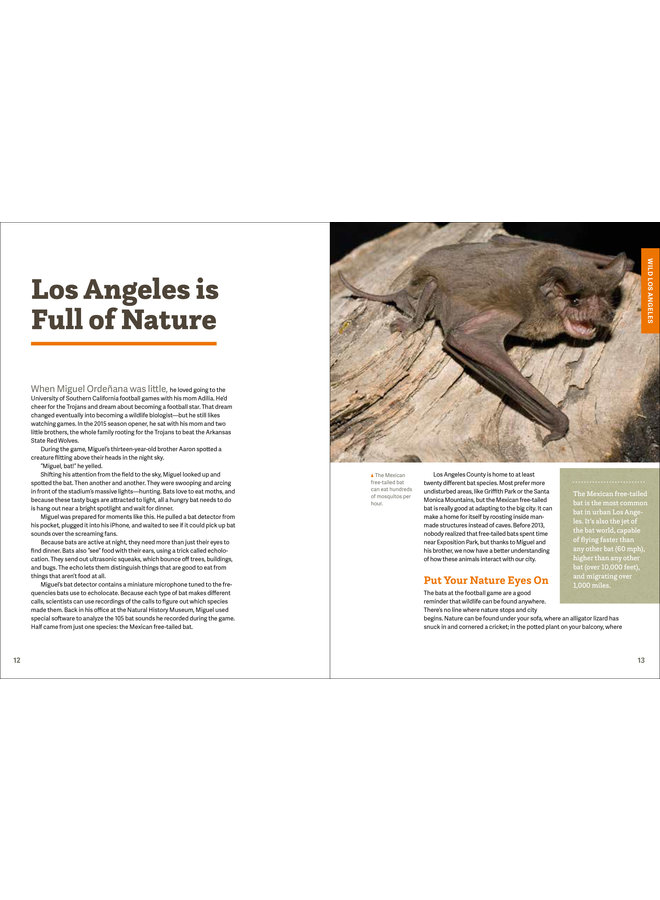 Wild LA: Explore the Amazing Nature In and Around Los Angeles