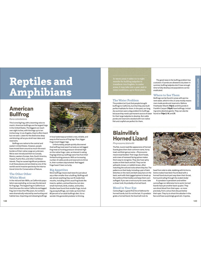 Wild LA: Explore the Amazing Nature In and Around Los Angeles