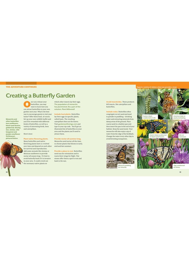 How to Raise Monarch Butterflies: A Step-by-Step Guide for Kids