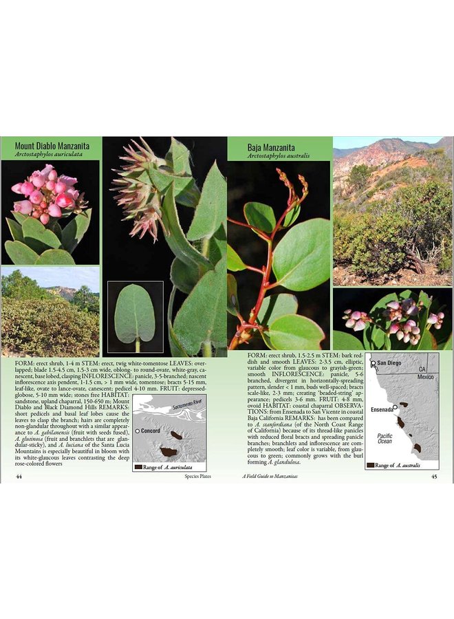 Field Guide to Manzanitas: California, North America and Mexico
