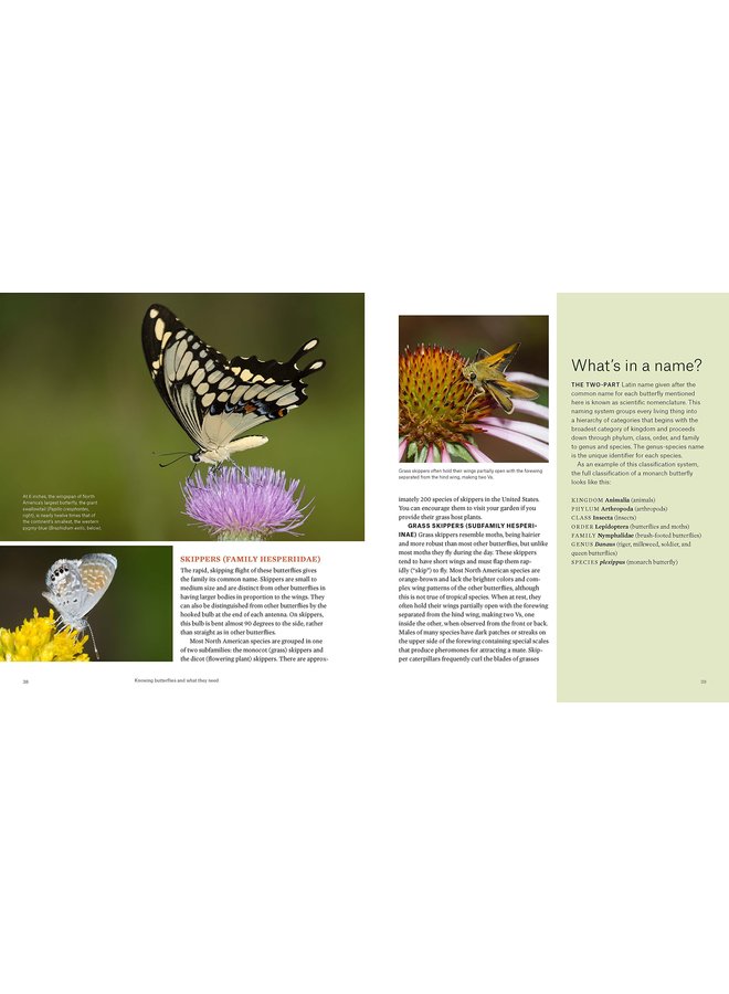 Gardening for Butterflies: How You Can Attract and Protect Beautiful, Beneficial Insects